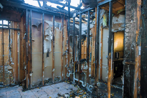 Professional Fire Damage Cleanup technician working in Gibsonton, FL