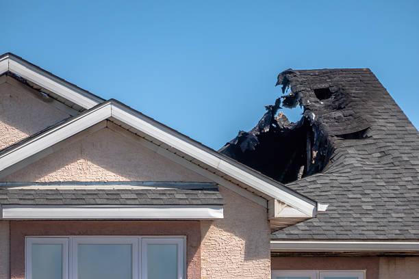 Top rated local Fire Damage Cleanup specialists in Gibsonton, FL